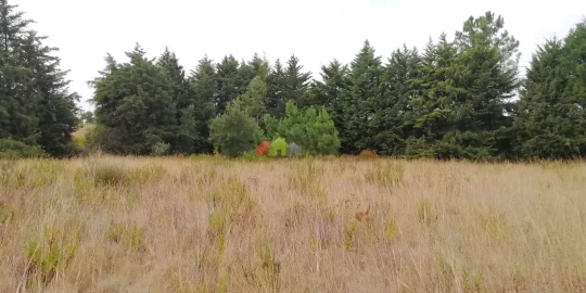 Terreno para Venda em Poceirão e Marateca