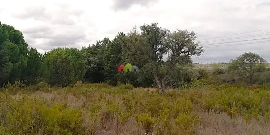 Terreno para Venda em Poceirão e Marateca