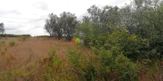 Terreno para Venda em Poceirão e Marateca
