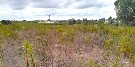 Terreno para Venda em Poceirão e Marateca