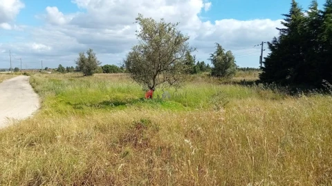Terreno para Venda em Poceirão e Marateca