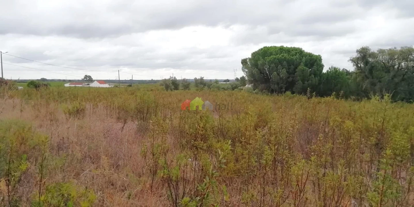 Terreno para Venda em Poceirão e Marateca Foto 21