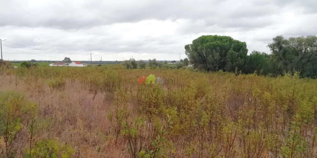 Terreno para Venda em Poceirão e Marateca Foto 21
