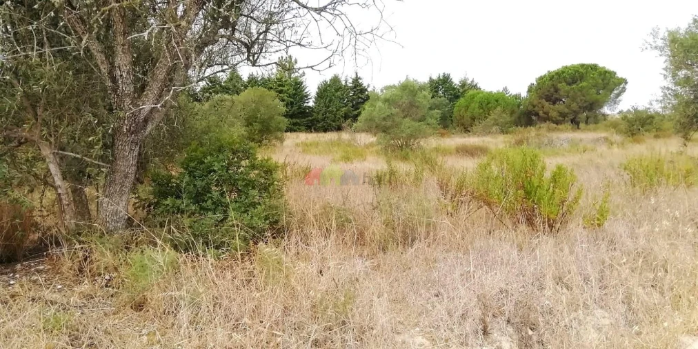 Terreno para Venda em Poceirão e Marateca Foto 25