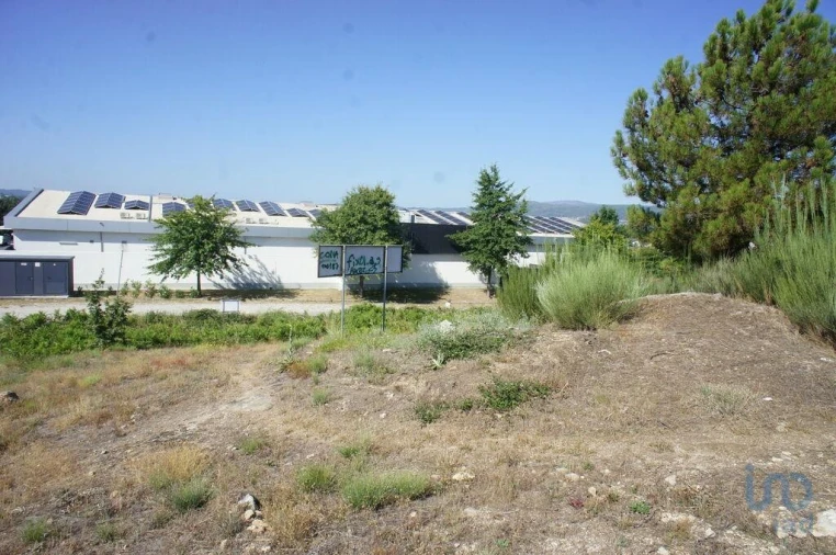 Terreno para Venda em Santa Cruz/Trindade e Sanjurge Foto 12