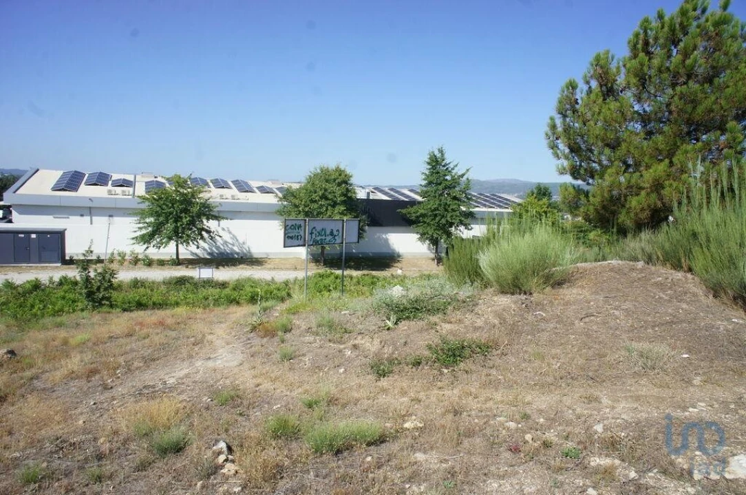 Terreno para Venda em Santa Cruz/Trindade e Sanjurge Foto 12