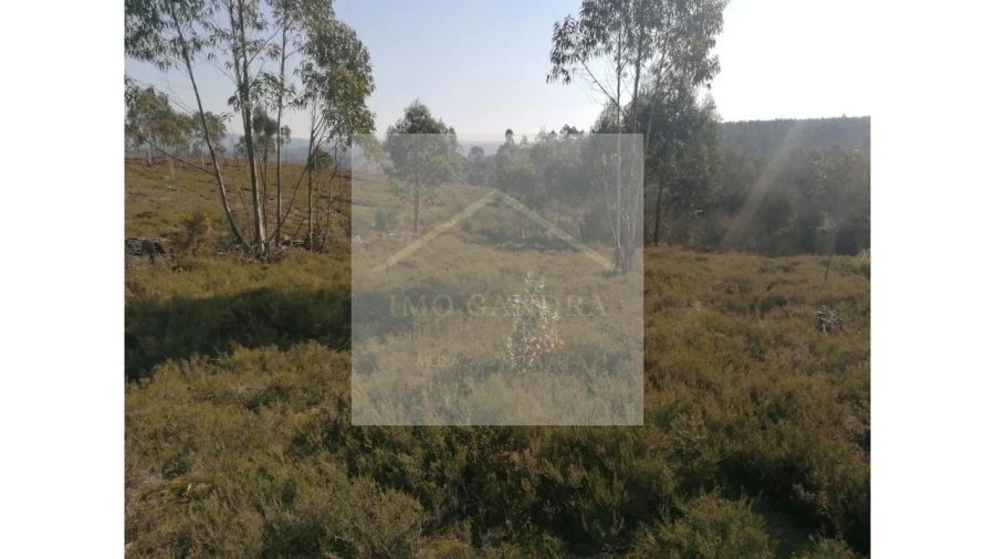 Terreno para Venda em Recarei Foto 5