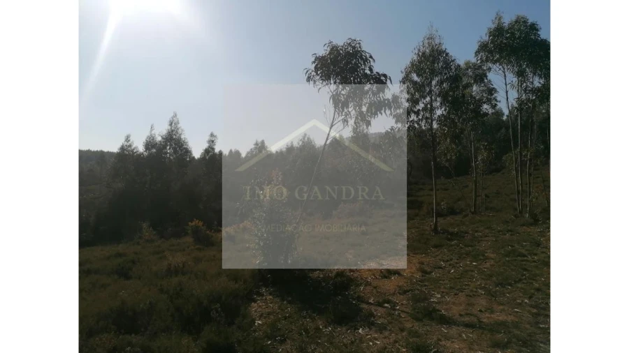 Terreno para Venda em Recarei Foto 8