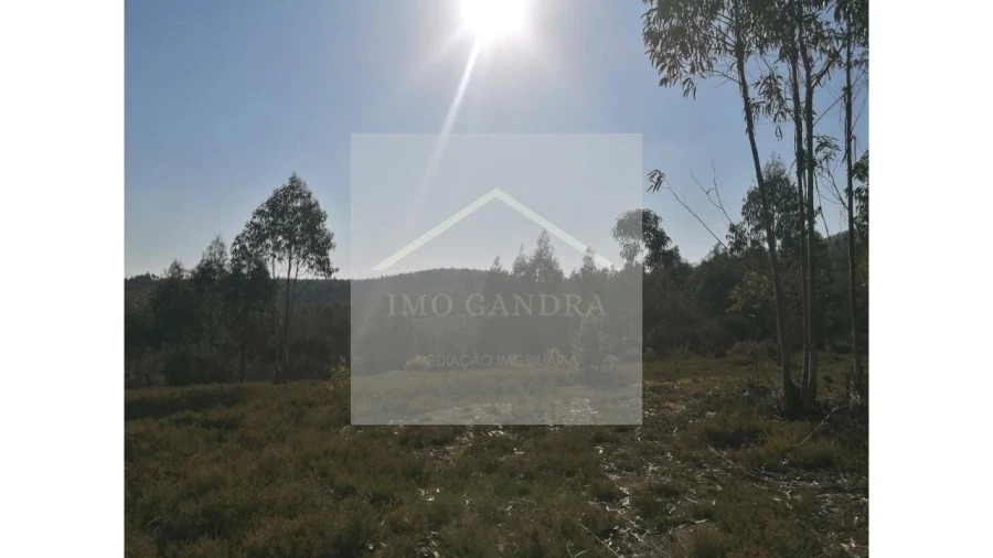 Terreno para Venda em Recarei Foto 10