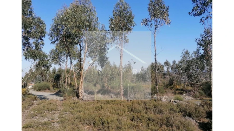 Terreno para Venda em Recarei