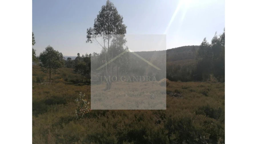 Terreno para Venda em Recarei Foto 19