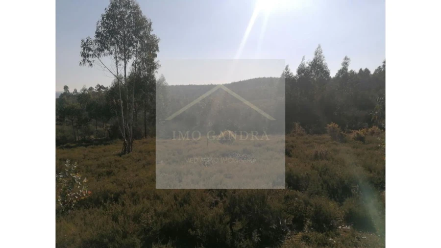 Terreno para Venda em Recarei Foto 20