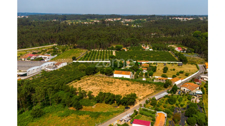 Terreno para Venda em Recardães e Espinhel Foto 8