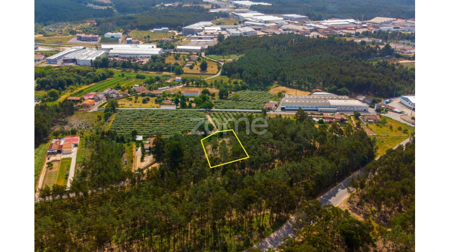 Terreno para Venda em Recardães e Espinhel Foto 5