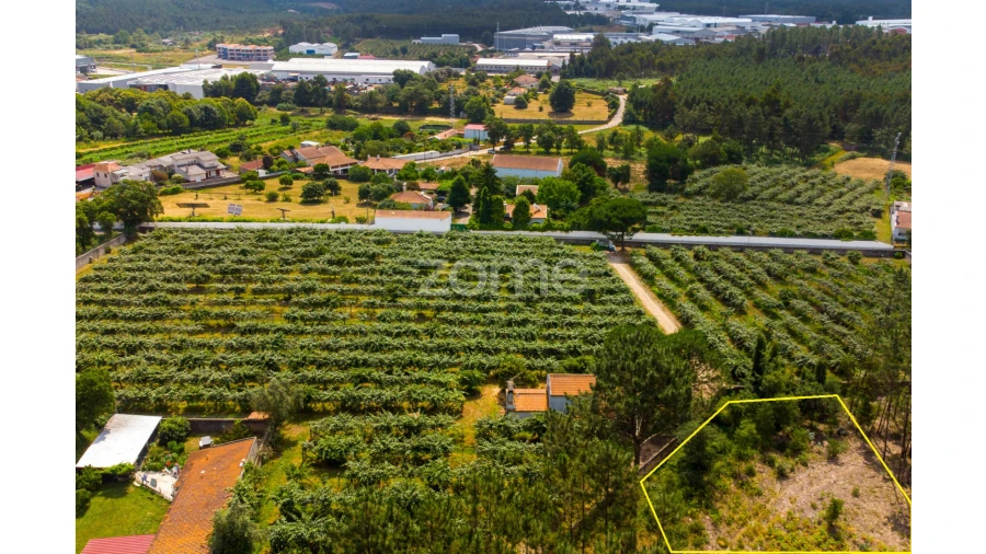 Terreno para Venda em Recardães e Espinhel Foto 11