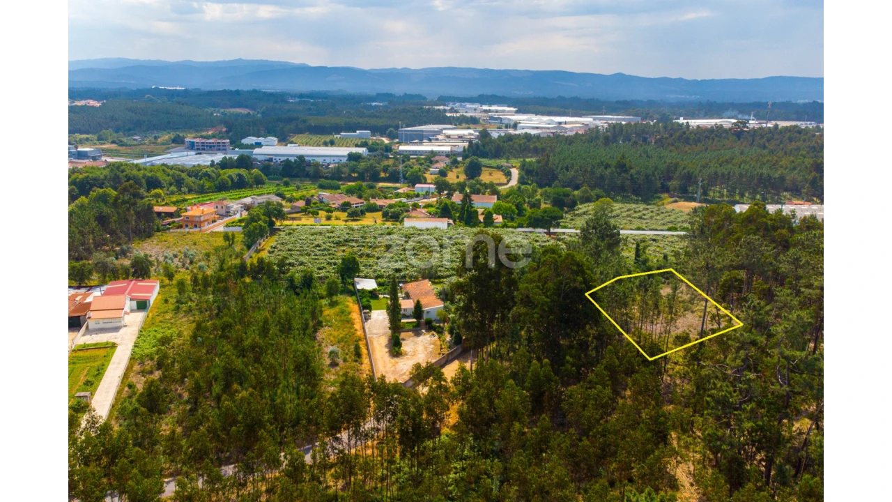 Terreno para Venda em Recardães e Espinhel Foto 9