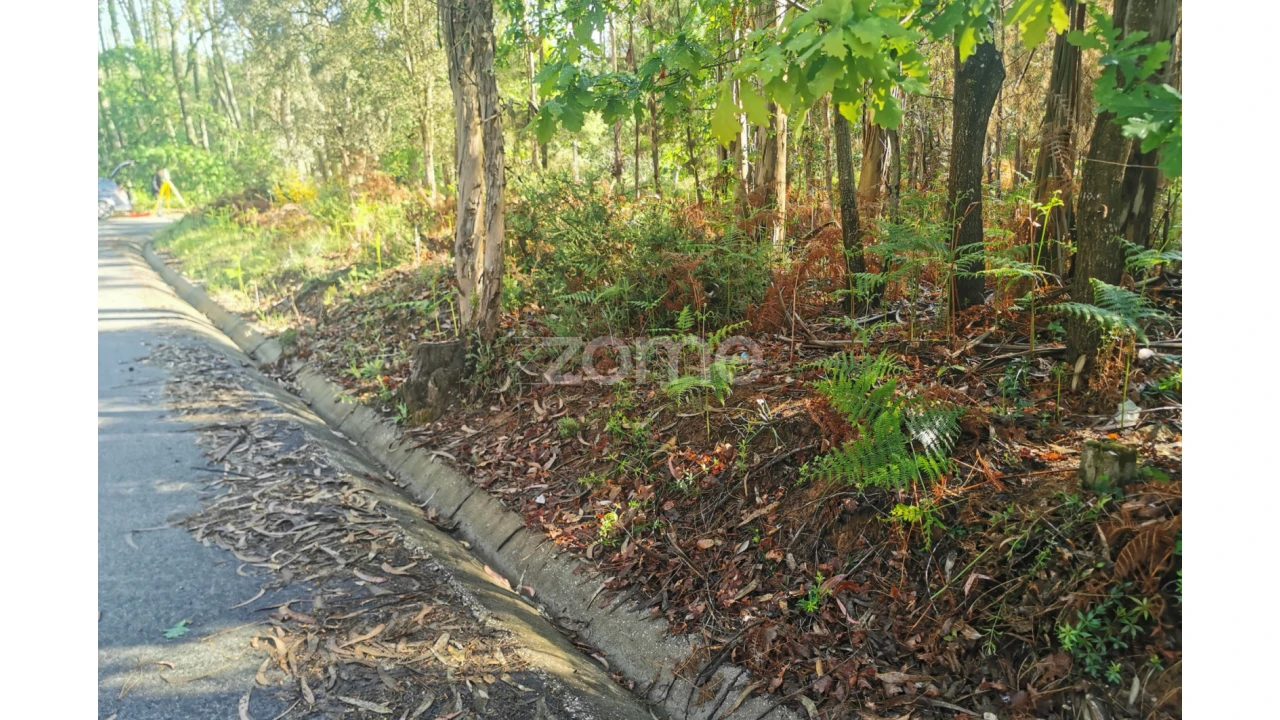 Terreno para Venda em Recardães e Espinhel Foto 6