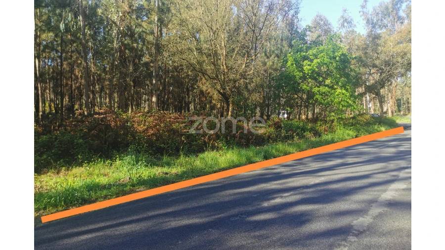 Terreno para Venda em Recardães e Espinhel Foto 3