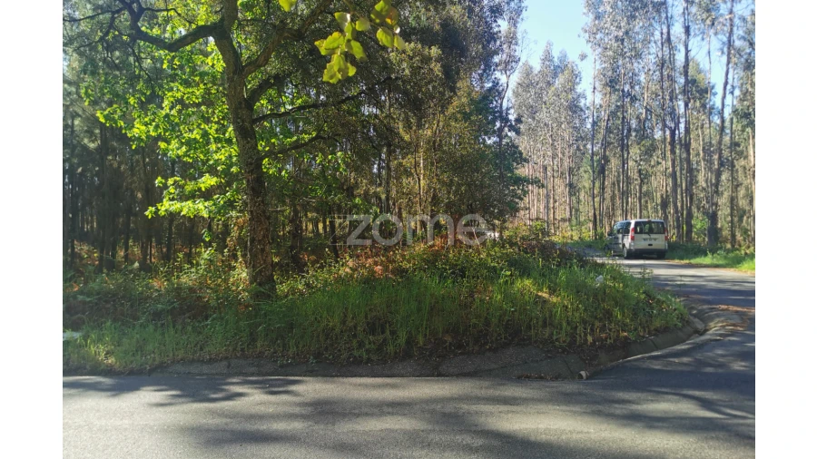 Terreno para Venda em Recardães e Espinhel Foto 1