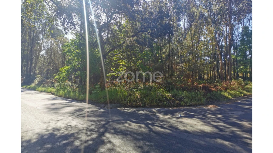 Terreno para Venda em Recardães e Espinhel Foto 5