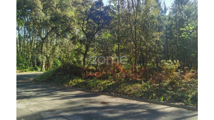 Terreno para Venda em Recardães e Espinhel Foto 2