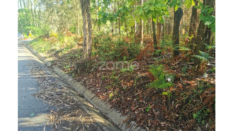 Terreno para Venda em Recardães e Espinhel Foto 6