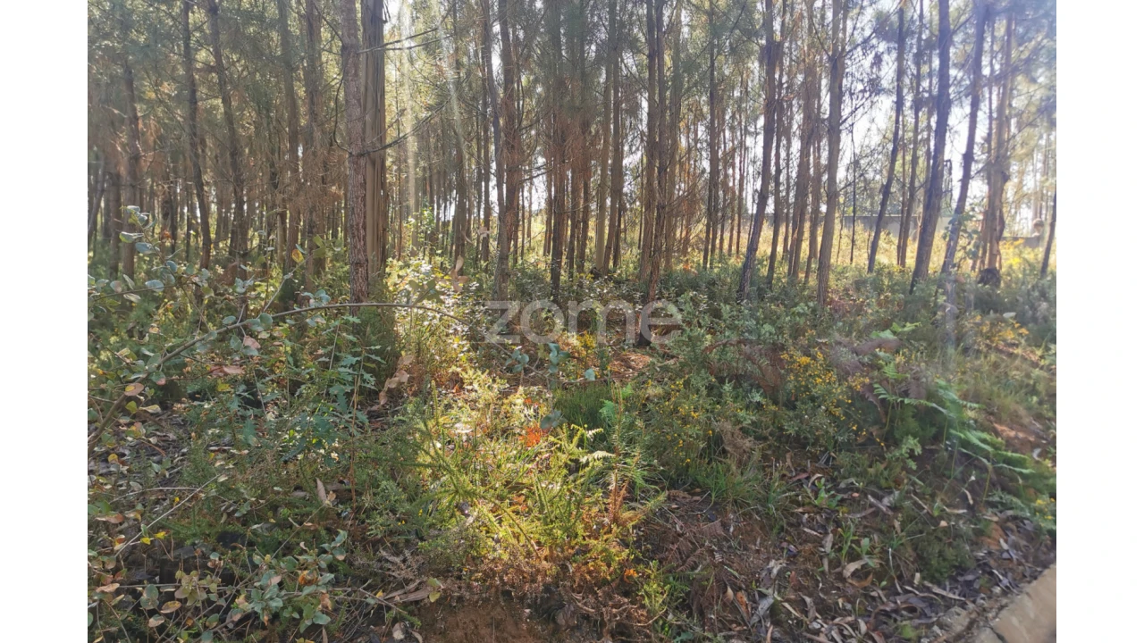 Terreno para Venda em Recardães e Espinhel Foto 5