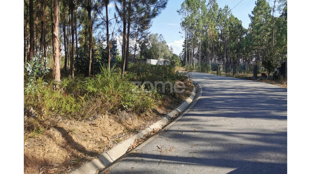 Terreno para Venda em Recardães e Espinhel Foto 1