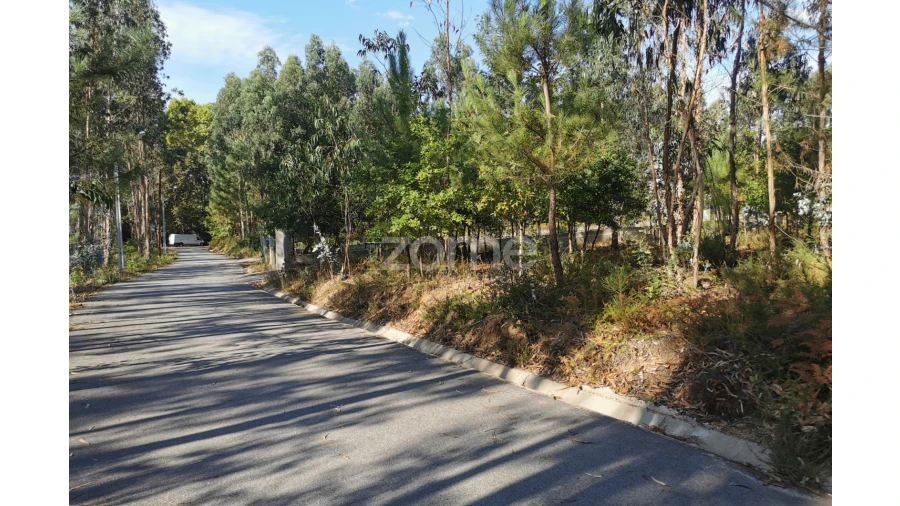 Terreno para Venda em Recardães e Espinhel Foto 3