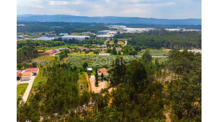 Terreno para Venda em Recardães e Espinhel Foto 15