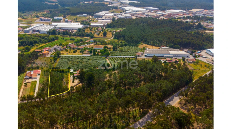 Terreno para Venda em Recardães e Espinhel Foto 8