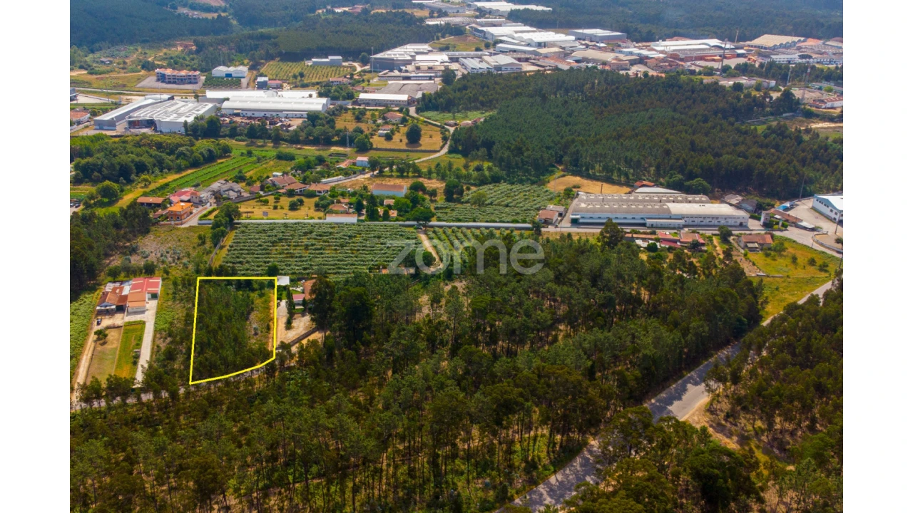 Terreno para Venda em Recardães e Espinhel Foto 8