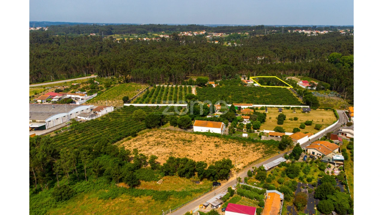 Terreno para Venda em Recardães e Espinhel Foto 12