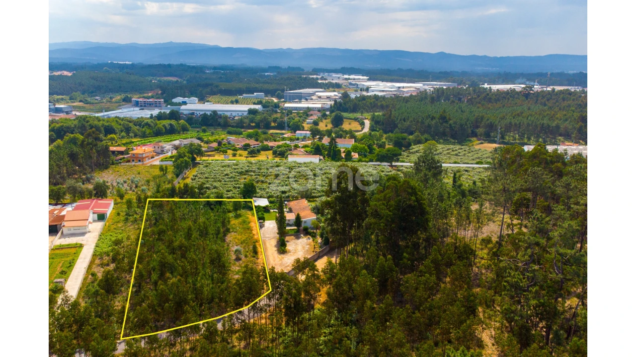 Terreno para Venda em Recardães e Espinhel Foto 14