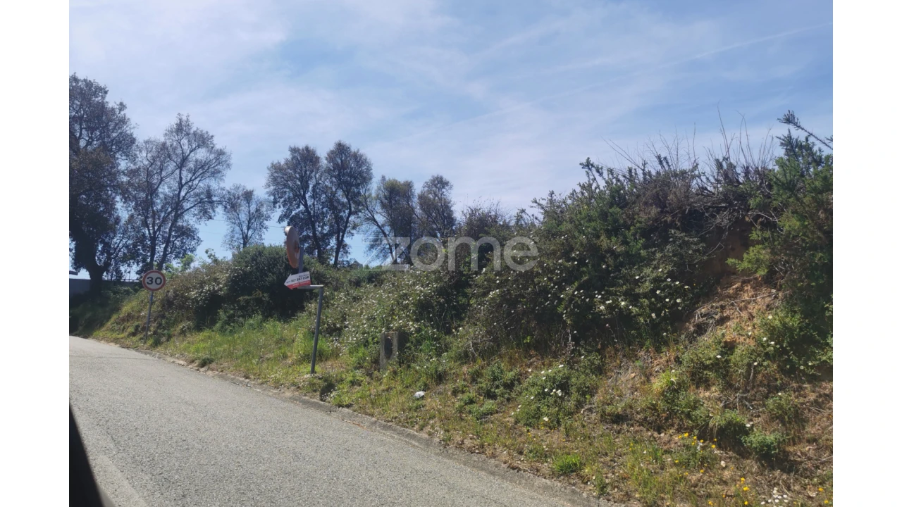 Terreno para Venda em Recardães e Espinhel Foto 3
