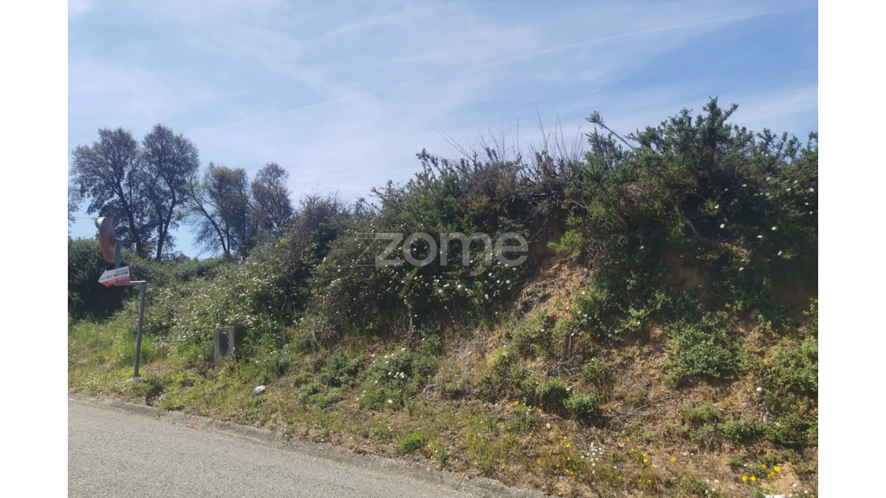 Terreno para Venda em Recardães e Espinhel Foto 1