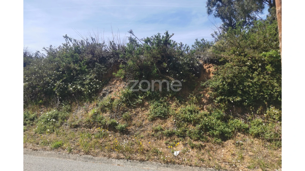 Terreno para Venda em Recardães e Espinhel Foto 4