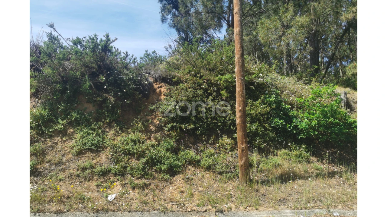 Terreno para Venda em Recardães e Espinhel Foto 5