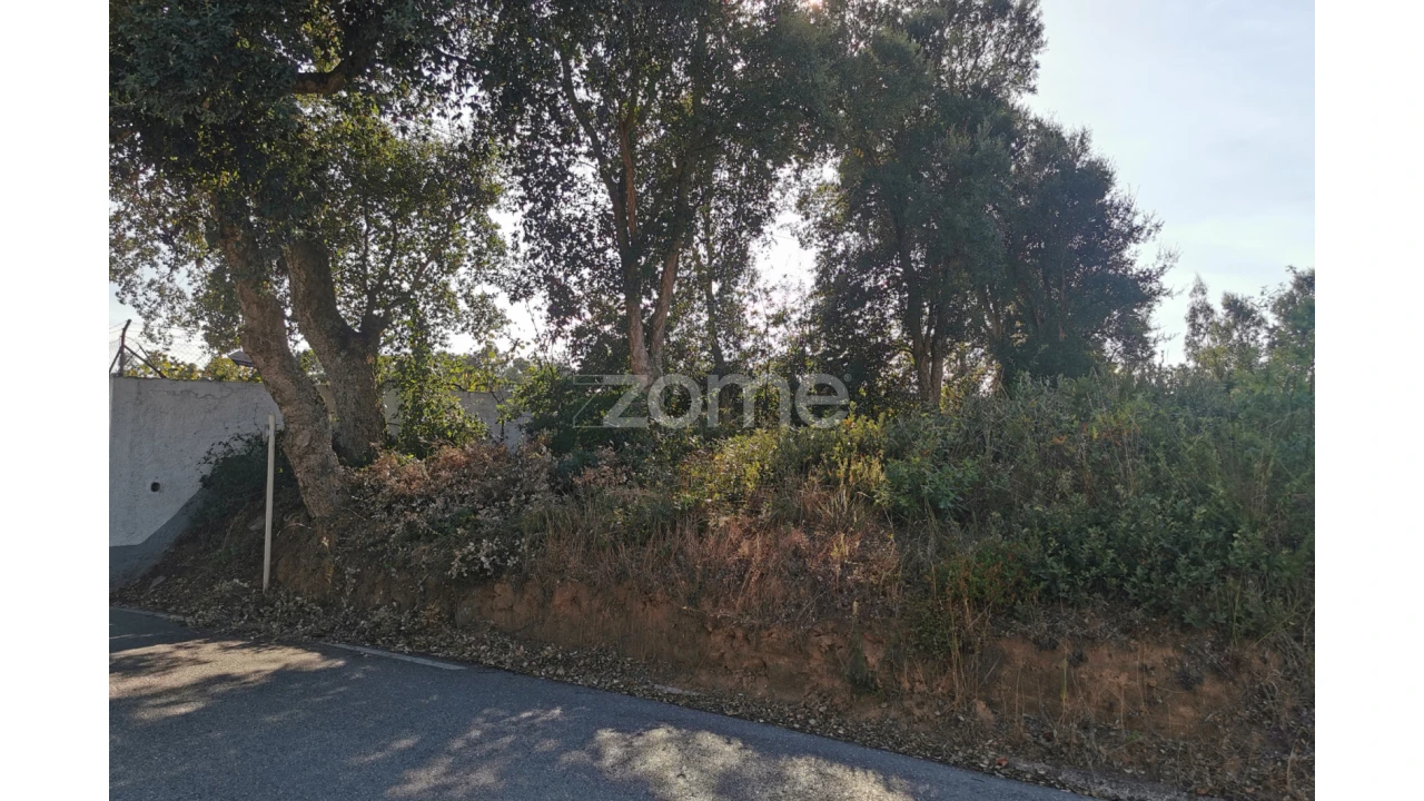 Terreno para Venda em Recardães e Espinhel Foto 25