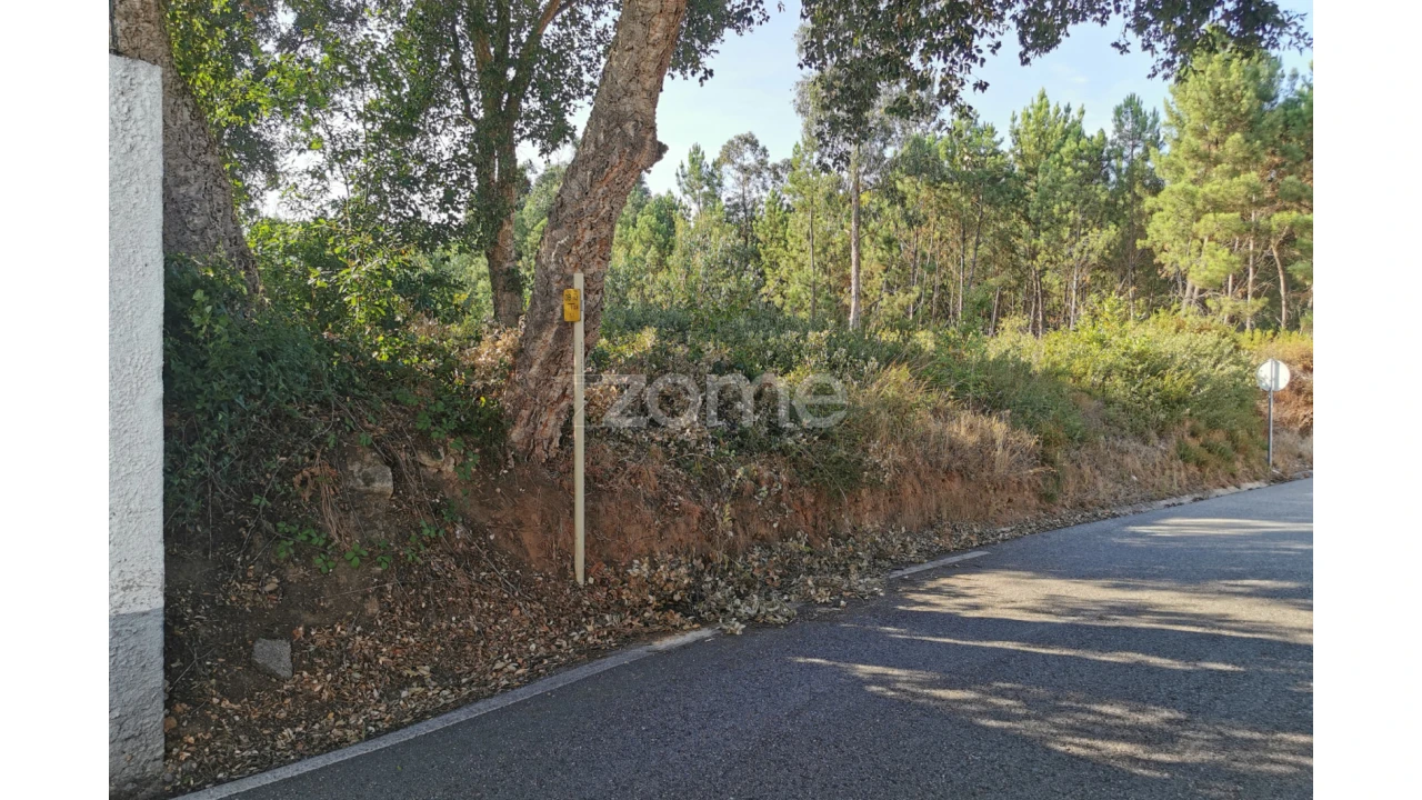 Terreno para Venda em Recardães e Espinhel Foto 24