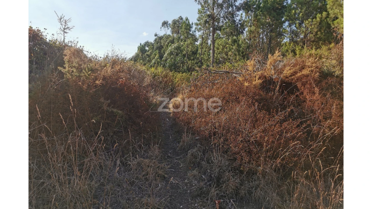 Terreno para Venda em Recardães e Espinhel Foto 27