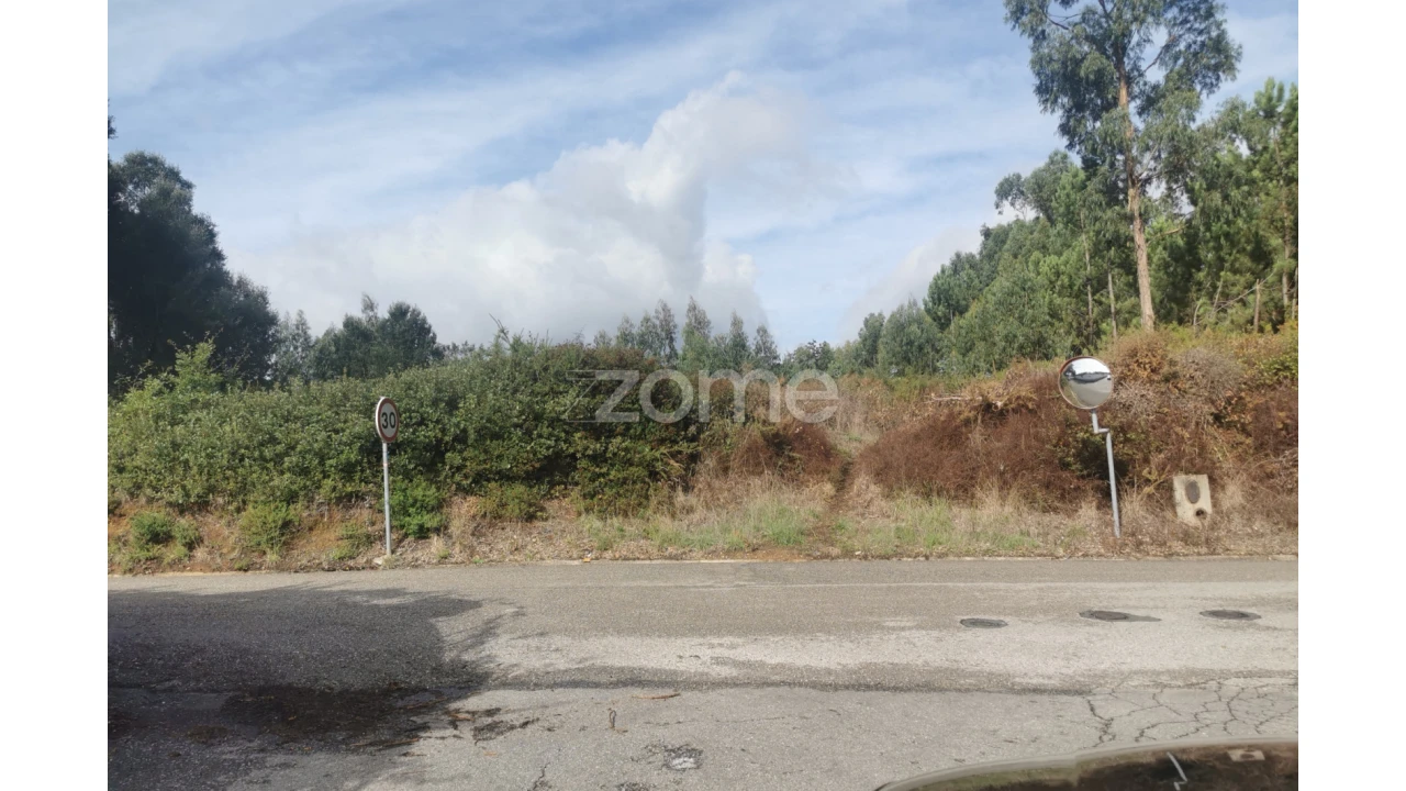 Terreno para Venda em Recardães e Espinhel Foto 31