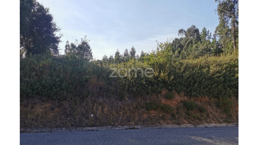 Terreno para Venda em Recardães e Espinhel Foto 26