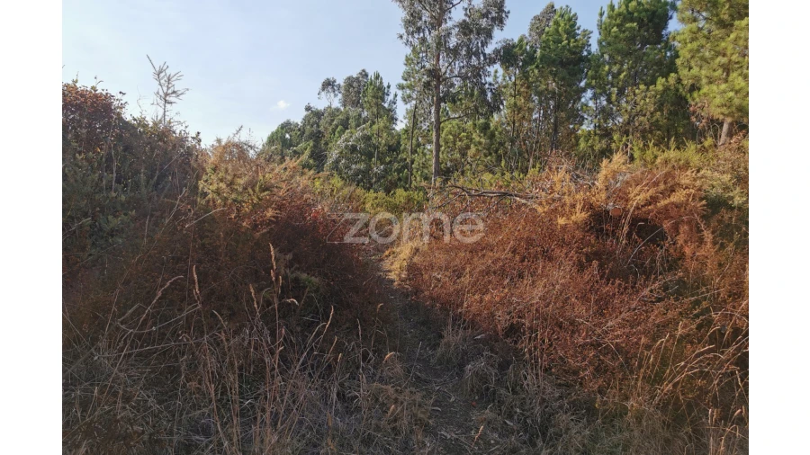 Terreno para Venda em Recardães e Espinhel Foto 28