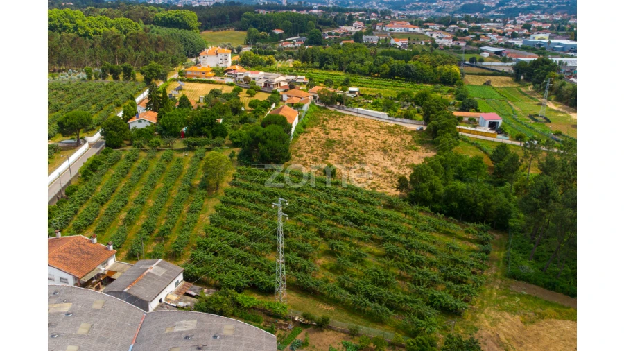 Terreno para Venda em Recardães e Espinhel Foto 16