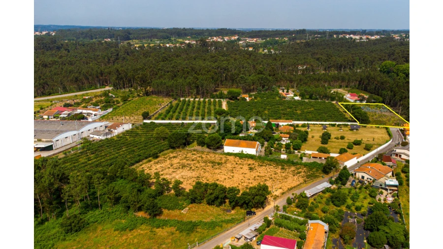Terreno para Venda em Recardães e Espinhel Foto 8