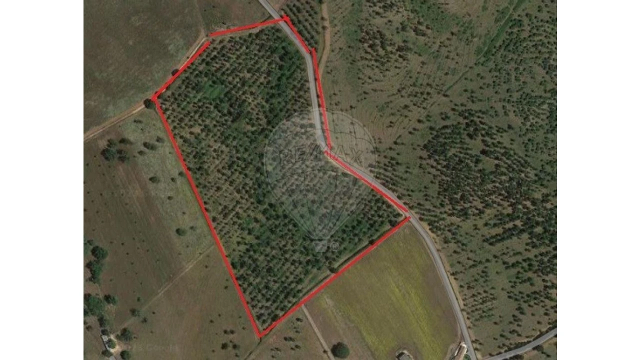 Terreno para Venda em Cercal Foto 13