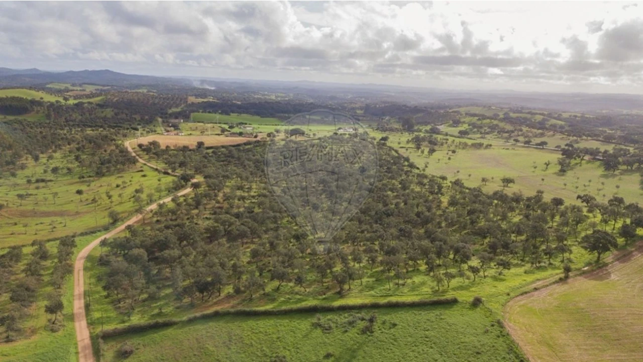 Terreno para Venda em Cercal Foto 4