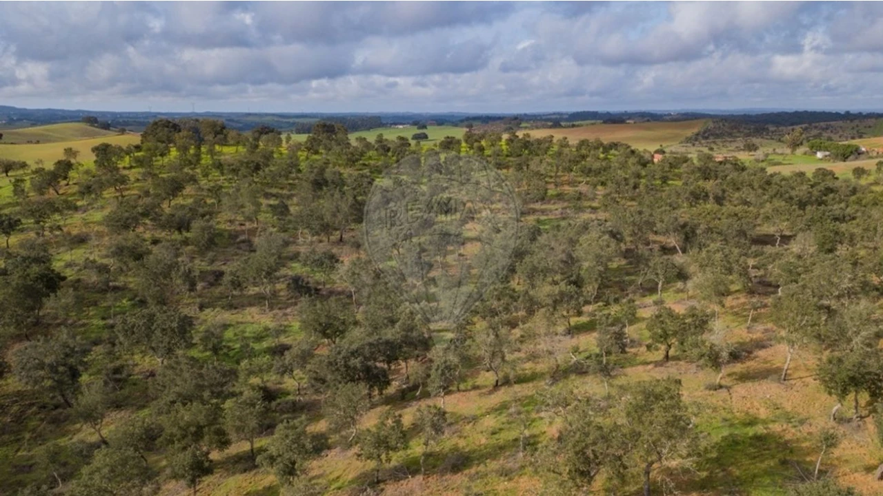Terreno para Venda em Cercal Foto 9