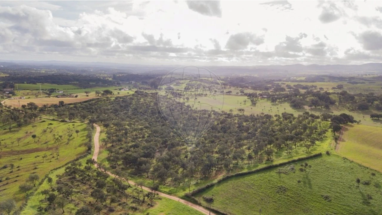 Terreno para Venda em Cercal Foto 3